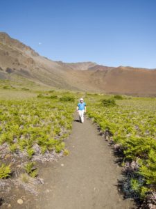 20150721 080000 hawaii