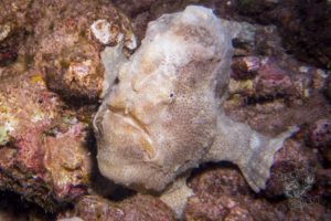 20150721 080000 hawaii