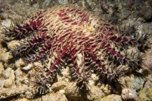 20150721 080000 hawaii