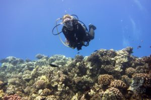 20150721 080000 hawaii