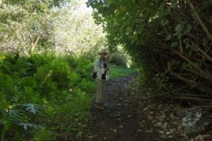 20150721 080000 hawaii