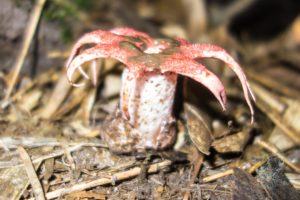 20150721 080000 hawaii