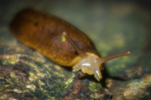 20150721 080000 hawaii