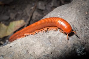 20150721 080000 hawaii