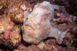 20150721 080000 hawaii