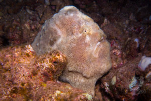 20150721 080000 hawaii