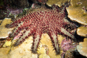 20150721 080000 hawaii