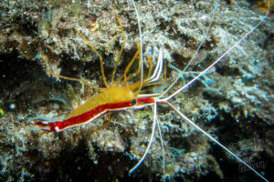 20150721 080000 hawaii