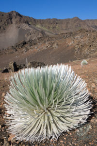 20150721 080000 hawaii