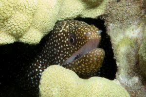 20150721 080000 hawaii