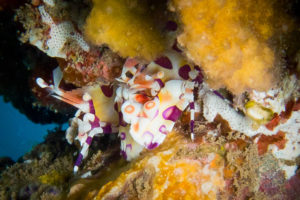 20150721 080000 hawaii