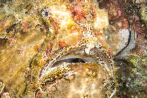 20150721 080000 hawaii