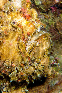 20150721 080000 hawaii