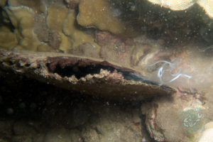 20150721 080000 hawaii