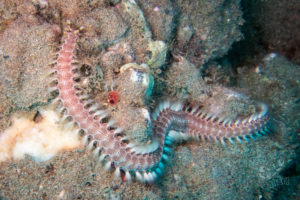 20150721 080000 hawaii