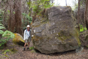 20150721 080000 hawaii