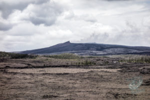 20150721 080000 hawaii