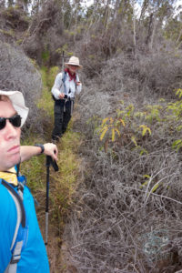 20150721 080000 hawaii