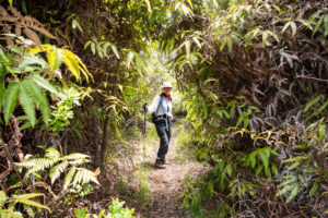 20150721 080000 hawaii