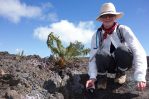 20150721 080000 hawaii