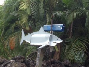 20150721 080000 hawaii