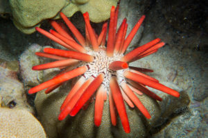 20150721 080000 hawaii