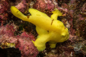 20150721 080000 hawaii