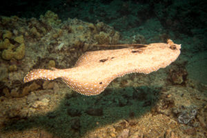 20150721 080000 hawaii