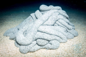 20150721 080000 hawaii