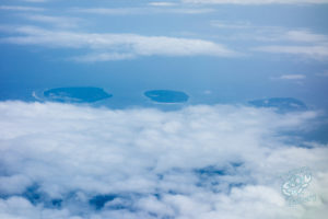 komodo ikan biru above water