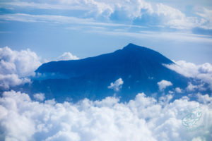 komodo ikan biru above water