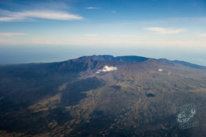 komodo ikan biru above water