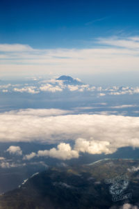 komodo ikan biru above water