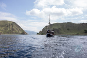 komodo ikan biru boats