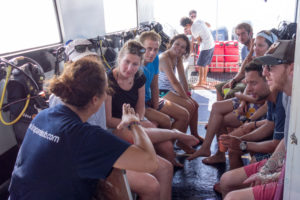 komodo ikan biru boats