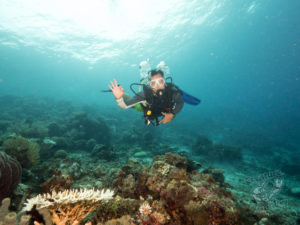 komodo ikan biru people
