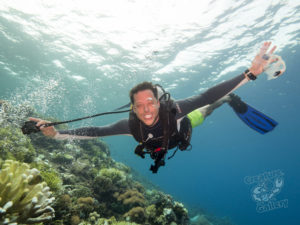 komodo ikan biru people