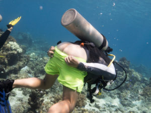 komodo ikan biru people