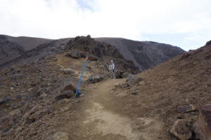 20170107 154810 new zealand