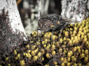 20170108 130326 new zealand