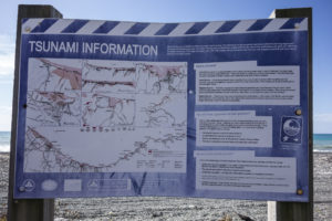 20170110 133919 new zealand