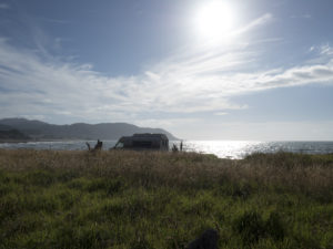 20170110 150546 new zealand