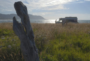 20170110 150808 new zealand