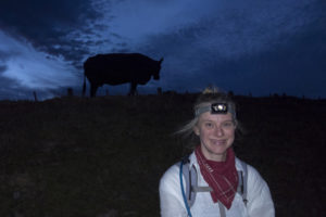 20170111 023110 new zealand