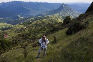 20170111 050331 new zealand