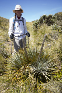 20170111 093608 new zealand