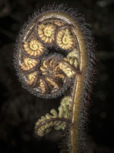 20170113 140755 new zealand