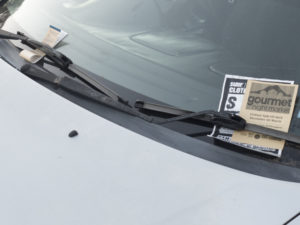 20170113 172205 new zealand