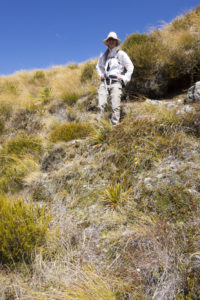 20170117 125204 new zealand