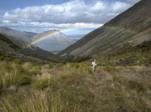 20170117 143905 new zealand